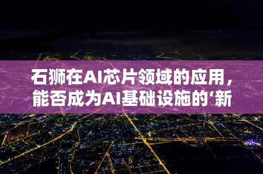 石狮在AI芯片领域的应用，能否成为AI基础设施的‘新狮城’？