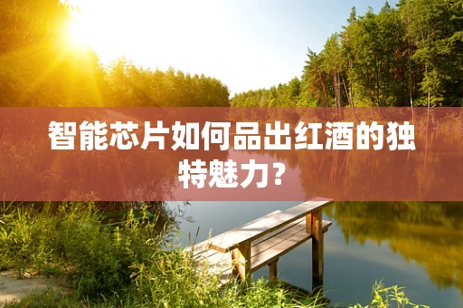智能芯片如何品出红酒的独特魅力？