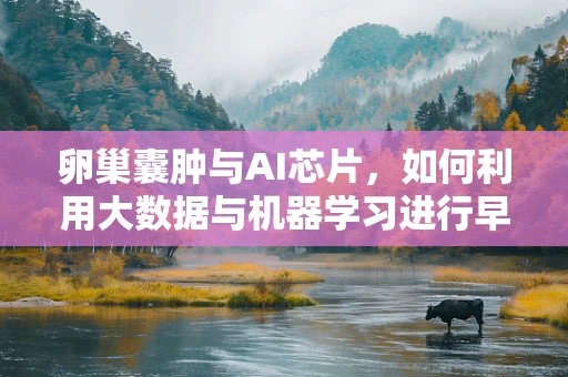 卵巢囊肿与AI芯片，如何利用大数据与机器学习进行早期诊断？