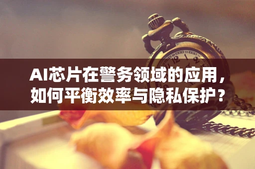 AI芯片在警务领域的应用，如何平衡效率与隐私保护？