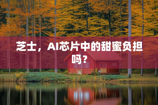 芝士，AI芯片中的甜蜜负担吗？