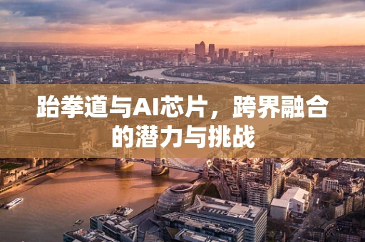 跆拳道与AI芯片，跨界融合的潜力与挑战