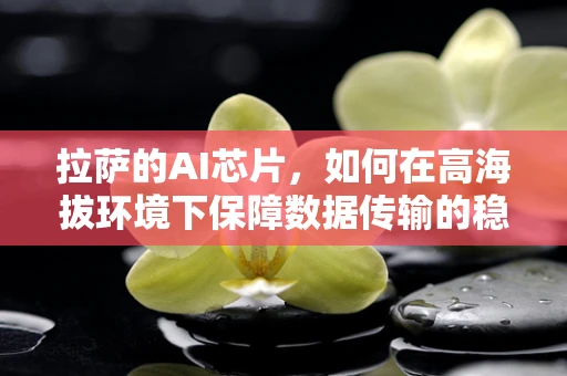 拉萨的AI芯片，如何在高海拔环境下保障数据传输的稳定性？