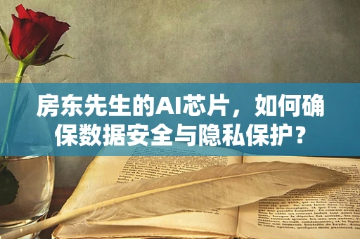房东先生的AI芯片，如何确保数据安全与隐私保护？