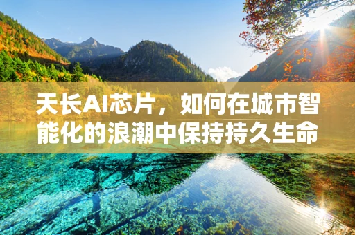 天长AI芯片，如何在城市智能化的浪潮中保持持久生命力？