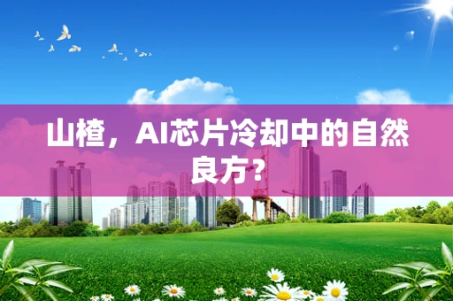 山楂，AI芯片冷却中的自然良方？