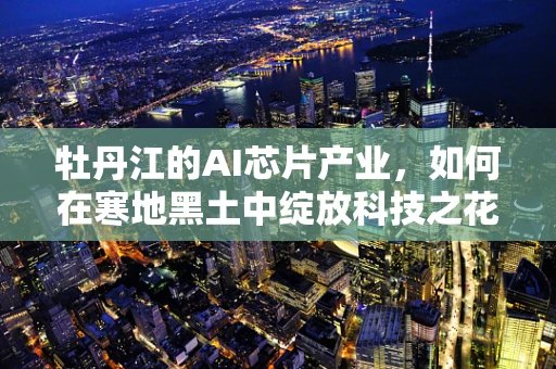 牡丹江的AI芯片产业，如何在寒地黑土中绽放科技之花？