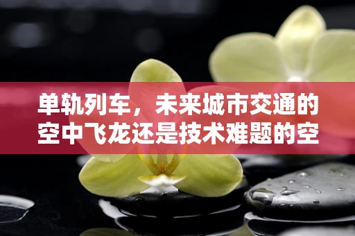 单轨列车，未来城市交通的空中飞龙还是技术难题的空中解药？