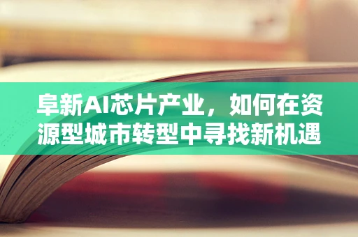 阜新AI芯片产业，如何在资源型城市转型中寻找新机遇？