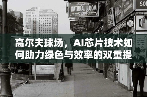 高尔夫球场，AI芯片技术如何助力绿色与效率的双重提升？