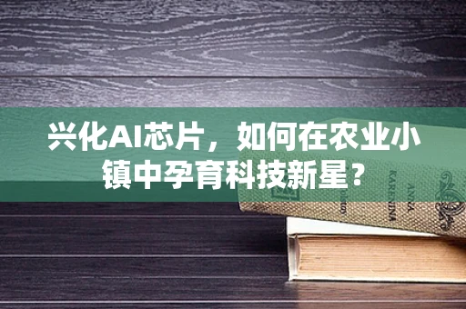兴化AI芯片，如何在农业小镇中孕育科技新星？