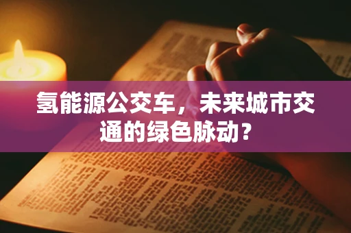 氢能源公交车，未来城市交通的绿色脉动？