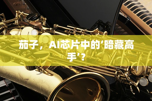 茄子，AI芯片中的‘暗藏高手’？