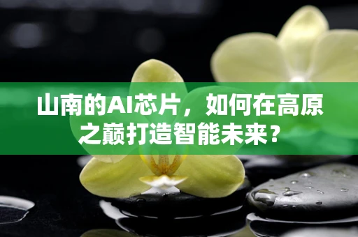 山南的AI芯片，如何在高原之巅打造智能未来？