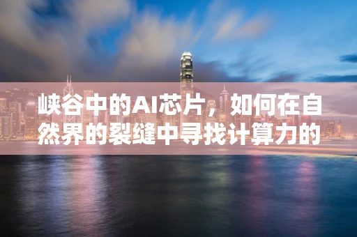 峡谷中的AI芯片，如何在自然界的裂缝中寻找计算力的新蓝海？