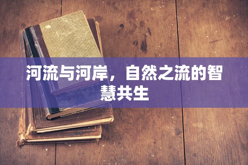 河流与河岸，自然之流的智慧共生
