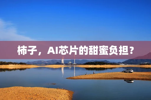柿子，AI芯片的甜蜜负担？