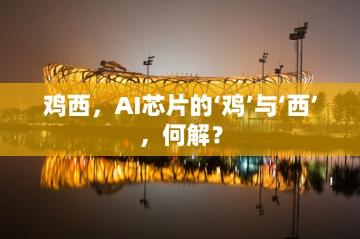 鸡西，AI芯片的‘鸡’与‘西’，何解？