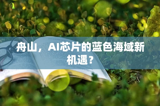 舟山，AI芯片的蓝色海域新机遇？
