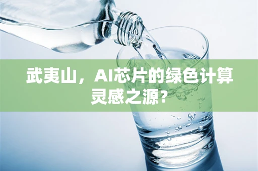 武夷山，AI芯片的绿色计算灵感之源？