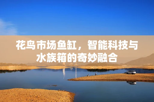 花鸟市场鱼缸，智能科技与水族箱的奇妙融合