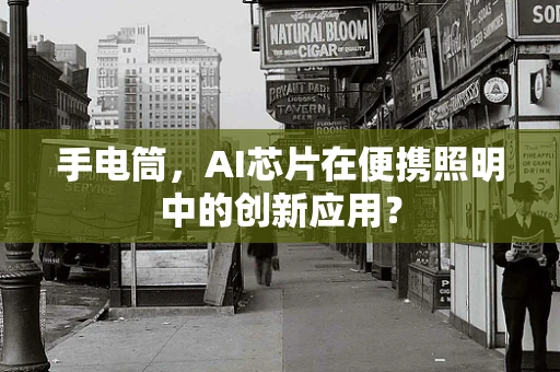 手电筒，AI芯片在便携照明中的创新应用？