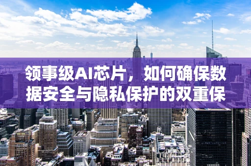领事级AI芯片，如何确保数据安全与隐私保护的双重保障？