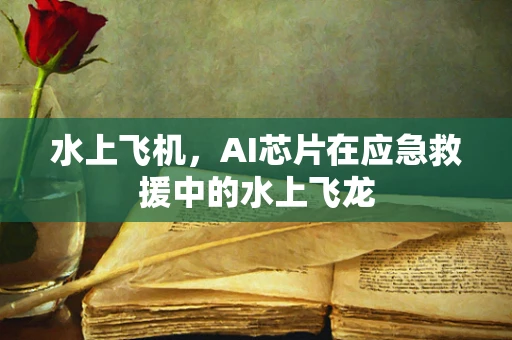 水上飞机，AI芯片在应急救援中的水上飞龙