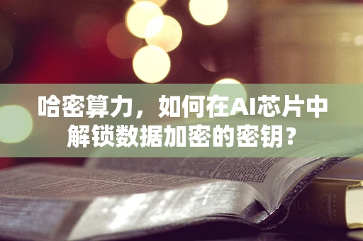 哈密算力，如何在AI芯片中解锁数据加密的密钥？