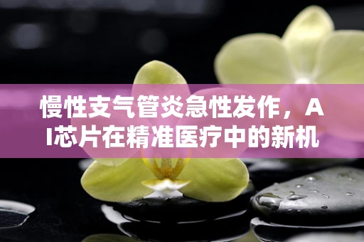 慢性支气管炎急性发作，AI芯片在精准医疗中的新机遇？