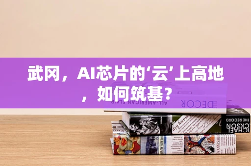 武冈，AI芯片的‘云’上高地，如何筑基？