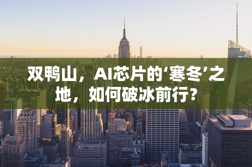 双鸭山，AI芯片的‘寒冬’之地，如何破冰前行？