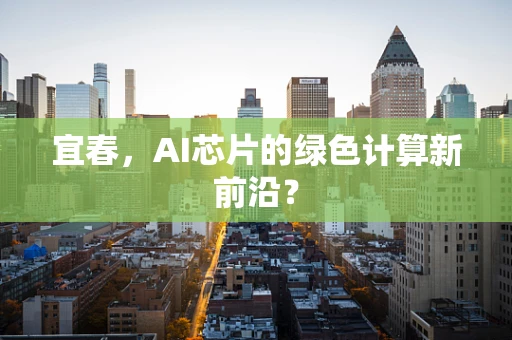 宜春，AI芯片的绿色计算新前沿？
