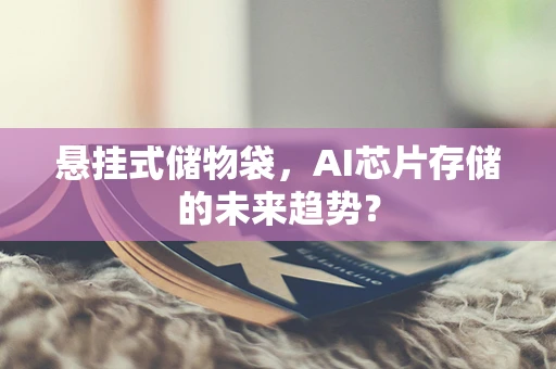 悬挂式储物袋，AI芯片存储的未来趋势？