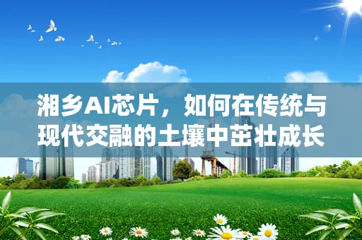 湘乡AI芯片，如何在传统与现代交融的土壤中茁壮成长？