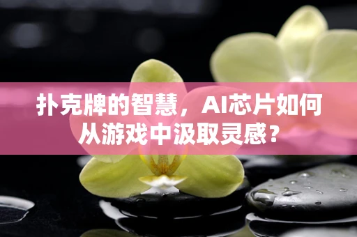 扑克牌的智慧，AI芯片如何从游戏中汲取灵感？