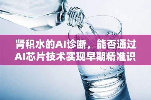 肾积水的AI诊断，能否通过AI芯片技术实现早期精准识别？