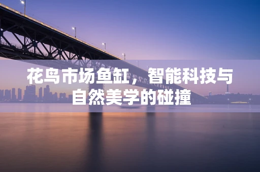 花鸟市场鱼缸，智能科技与自然美学的碰撞