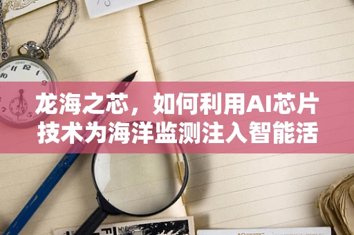 龙海之芯，如何利用AI芯片技术为海洋监测注入智能活力？