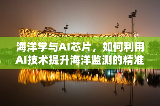 海洋学与AI芯片，如何利用AI技术提升海洋监测的精准度？