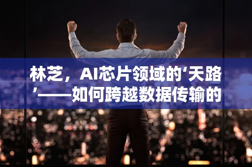 林芝，AI芯片领域的‘天路’——如何跨越数据传输的‘高山’？