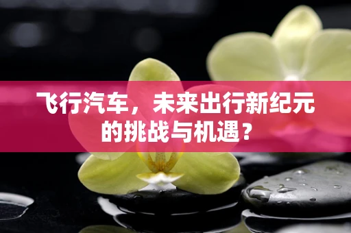 飞行汽车，未来出行新纪元的挑战与机遇？