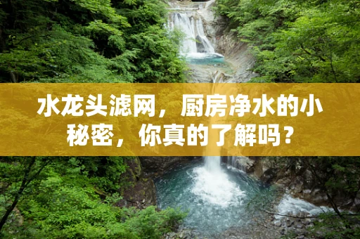 水龙头滤网，厨房净水的小秘密，你真的了解吗？