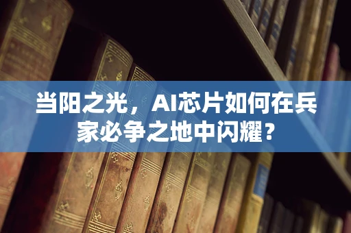 当阳之光，AI芯片如何在兵家必争之地中闪耀？
