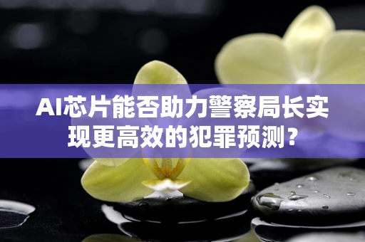AI芯片能否助力警察局长实现更高效的犯罪预测？