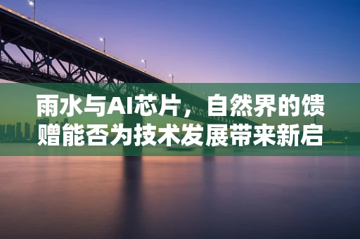 雨水与AI芯片，自然界的馈赠能否为技术发展带来新启示？