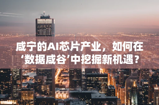 咸宁的AI芯片产业，如何在‘数据咸谷’中挖掘新机遇？