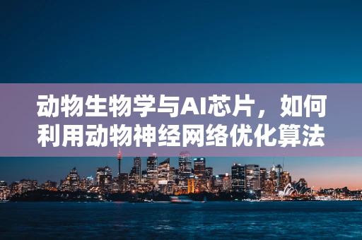 动物生物学与AI芯片，如何利用动物神经网络优化算法性能？