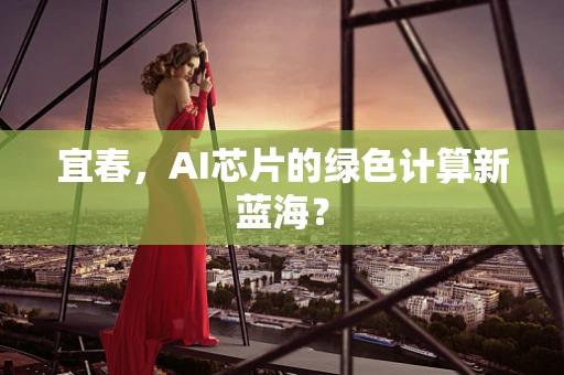 宜春，AI芯片的绿色计算新蓝海？