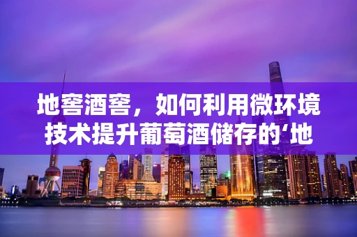 地窖酒窖，如何利用微环境技术提升葡萄酒储存的‘地下艺术’？